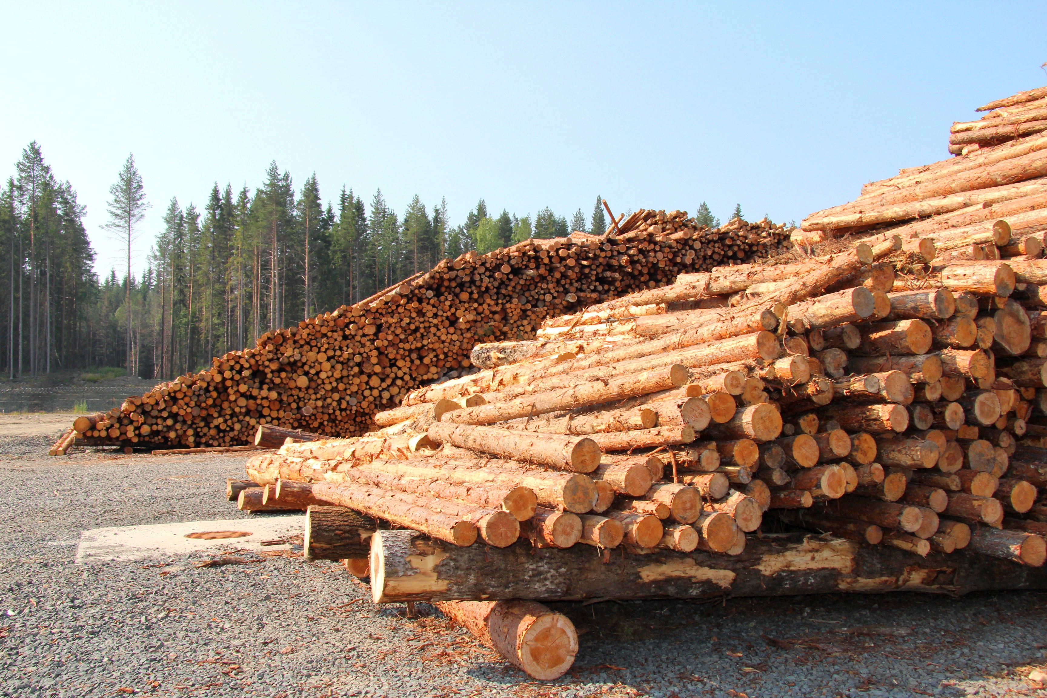 Лесозаготовка деревообработка. Лесообрабатывающая промышленность Норвегии. Лесная промышленность Норвегии. Лесная промышленность Канады. Лесоперерабатывающая промышленность в Швеции.