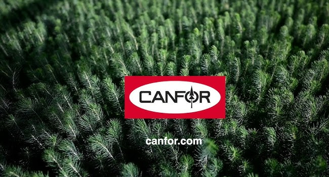 Canfor Corporation