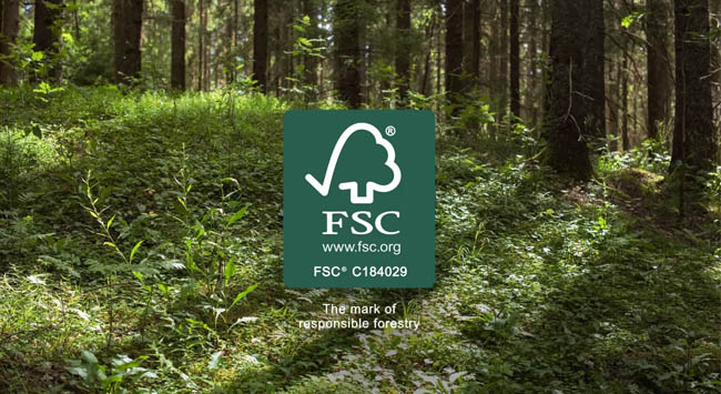 Vietnam strengthens its wood industry with FSC Certification