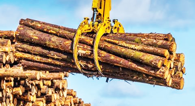Europäische Sperrholzindustrie uneinig über chinesische Hartholzimporte und Antidumpingmaßnahmen