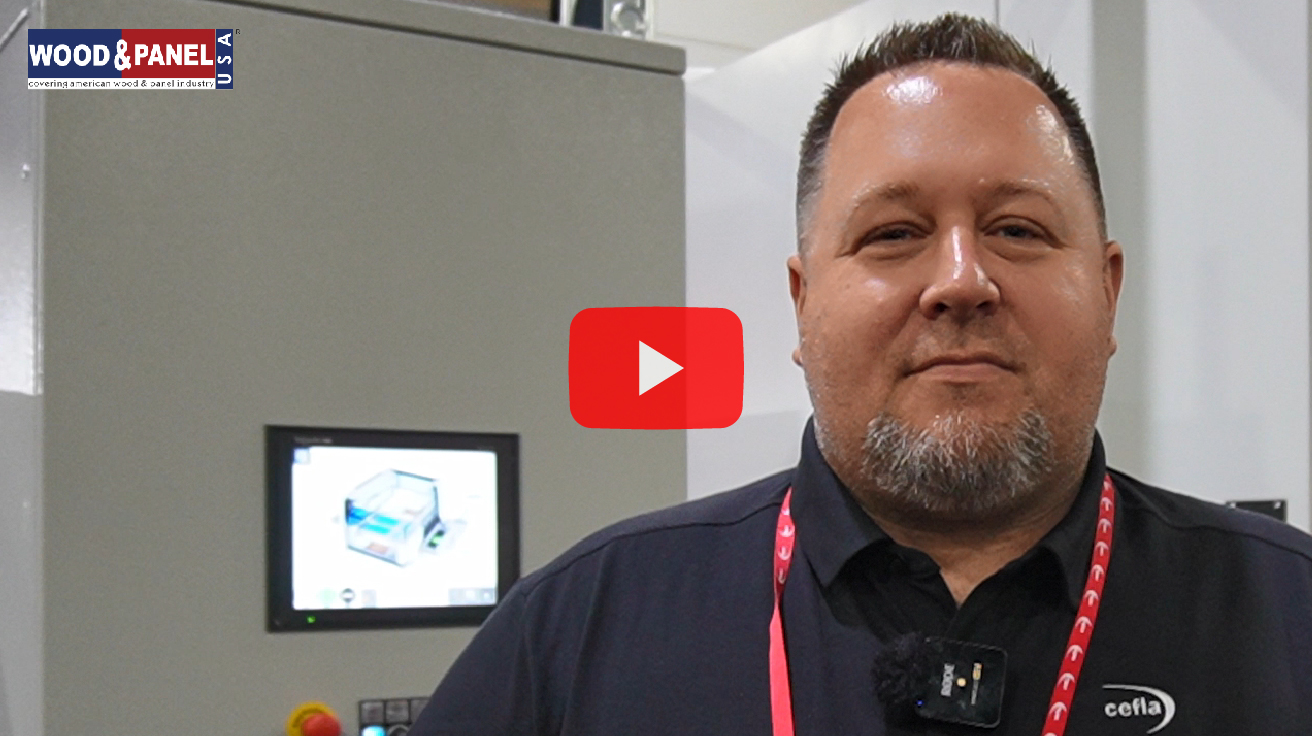WPE video