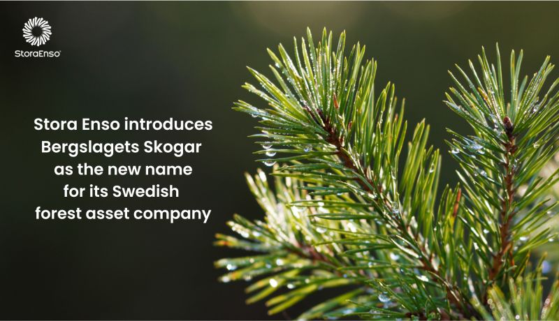 Stora Enso reveals Bergslagets Skogar as new identity for Swedish forest asset company