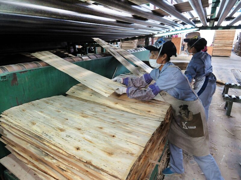 China expands plywood manufacturing footprint in South Africa, pressuring local forestry industry