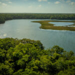 Forest management: Practical strategies for sustainable and resilient forests